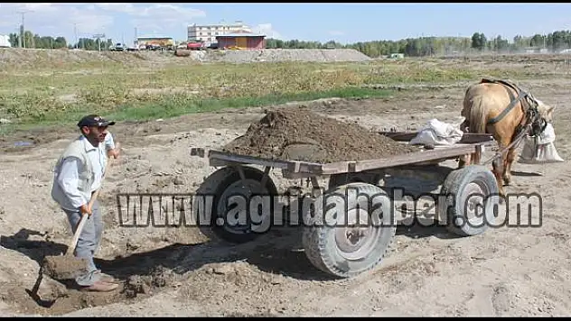 MURAT NEHRİ AT ARABACILARINA EKMEK KAPISI OLDU