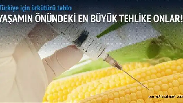 2025'te iki kişiden biri diyabet hastası olacak