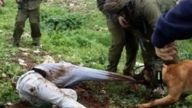 İsrail Ordusundan Köpek İtirafı