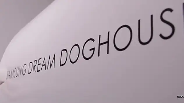 Samsung'dan 30 Bin $ Değerince Geleceğin Köpek Kulübeleri