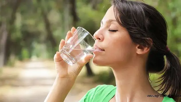 Böbrek sağlığını korumanın 12 yolu