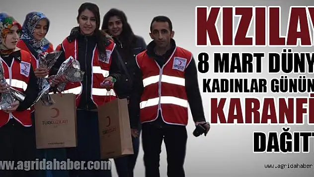 Kızılay 8 Mart Dünya Kadınlar Gününde Karanfil Dağıttı