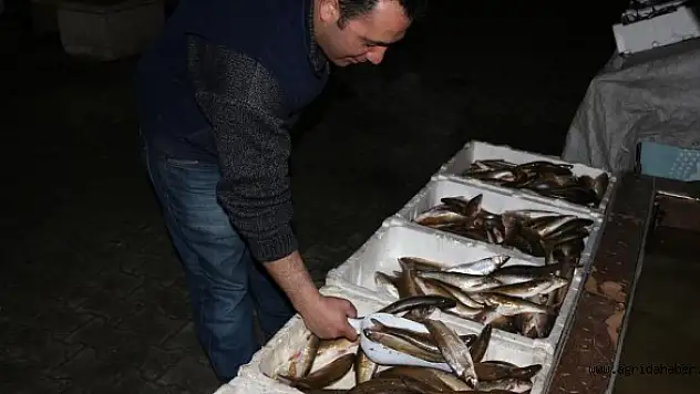 Güroymak'ta tatlı su balığı rağbet görüyor