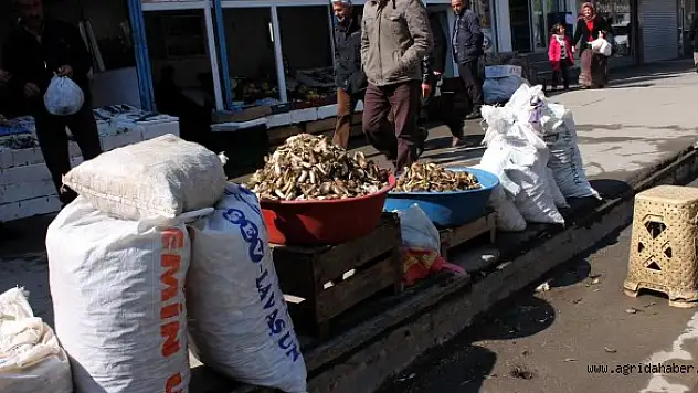 Baharın habercisi kenger tezgahlarda