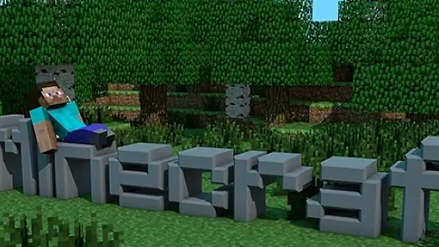 Aile Bakanlığı'ndan Minecraft'a Yasak Talebi