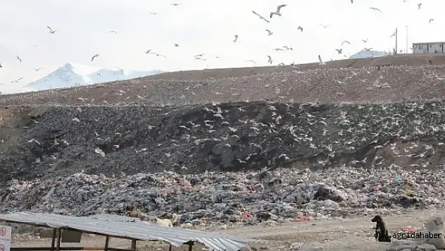 Vahşi çöp alanı 'ışık' saçıyor