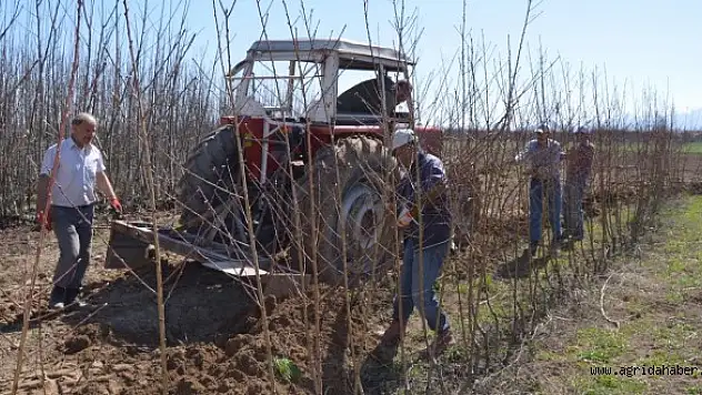 Malatya'da fidan satışları