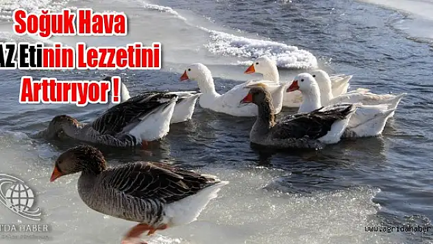 'Soğuk hava' Kazın Lezzetini Artırıyor