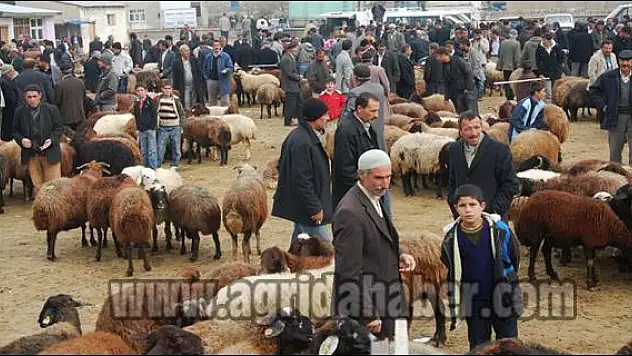 HAYVAN PAZARINDA HAREKETLİLİK ARTTI