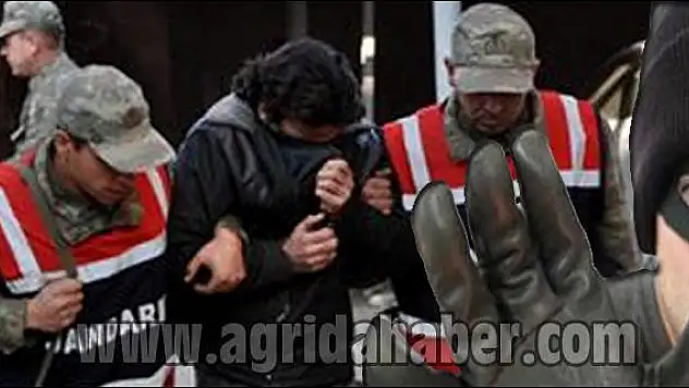 HIRSIZLIK ŞEBEKESİ ÇÖKERTİLDİ