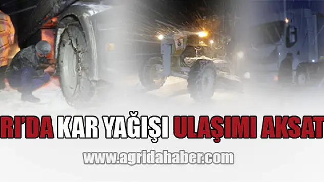 Yoğun Kar Yağışı Yolları Kapattı