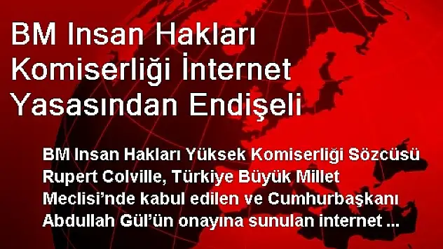 BM Insan Hakları Komiserliği İnternet Yasasından Endişeli