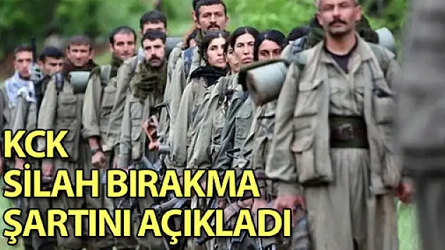 Kck Silah Bırakma Şartını Açıkladı