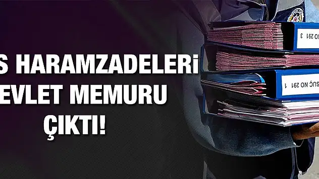 İşte Meşhur KPSS Devlet Memurları