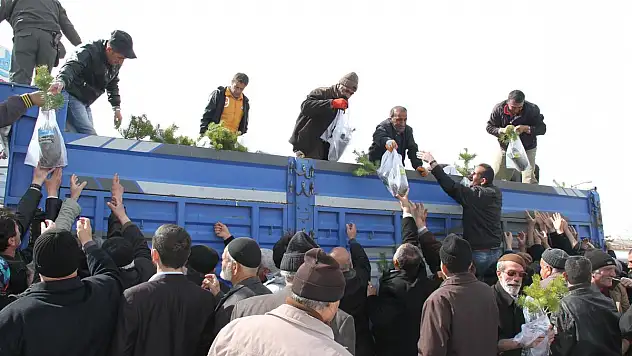 Ücretsiz dağıtılan 5 bin fidan 30 dakikada tükendi