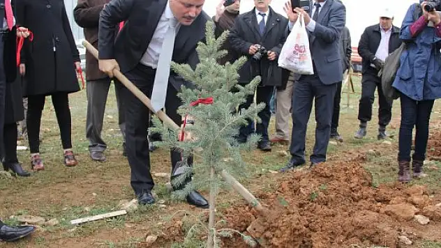 Malatya'da 'Bereket Ormanları' projesi