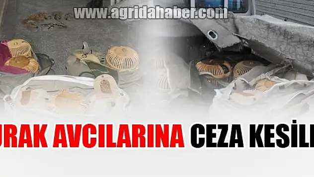 Kurak Avcılarına Ceza Kesildi