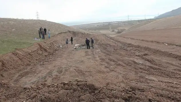 Adilcevaz'da 'Serada Aşılı Ceviz' Projesi