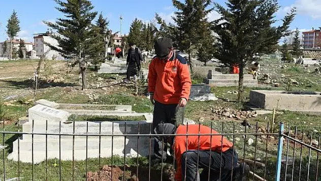 Mezarlıklara fidan dikiliyor