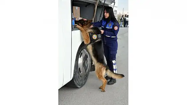 'Zeus' ve 'Oskar' kaçakçıların kabusu oldu