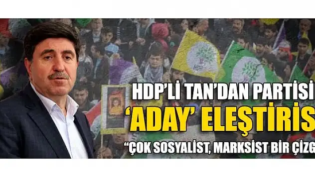 HDP'li Altan Tan'dan partisine 'aday' eleştirisi!