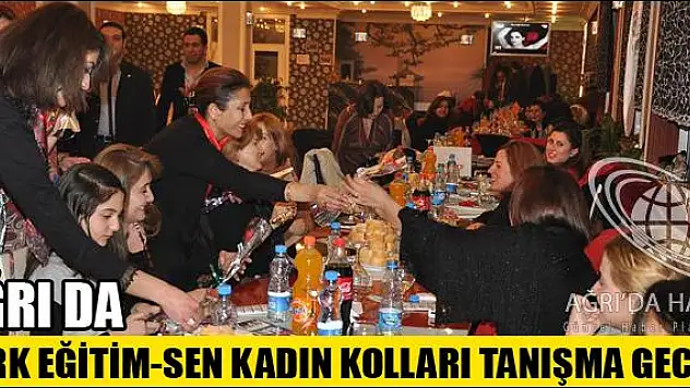 AĞRI DA TÜRK EĞİTİM-SEN KADIN KOLLARI TANIŞMA GECESİ