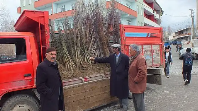 Malazgirt'te fidan satışları başladı