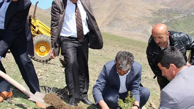 Çatak'ta 5 bin fidan dikildi