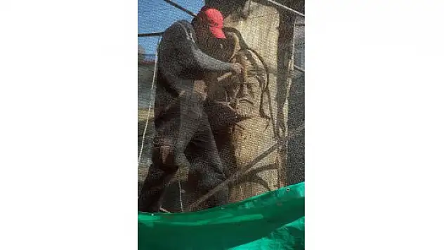Kuruyan asırlık çınarı sanat eserine dönüştürüyor