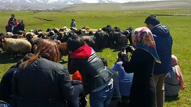 Dijital Fotoğrafçılık kursiyerleri Malazgirt'i fotoğrafladı