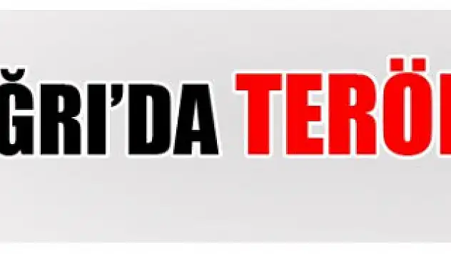 Ağrı'da terör saldırısı