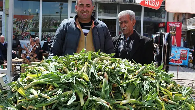 Baharın müjdecisi 'gülbahar' tezgahlarda