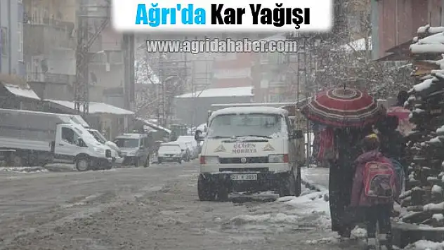 Ağrı'da Kar Yağışı