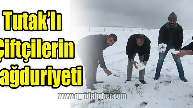 Tutak'ta Çiftçiler Perişan Oldu