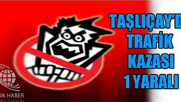 Otomobil Şarampole Devrildi  1 Yaralı.