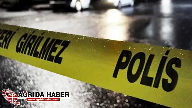 Ağrı'da Polis Memurunu Bıçaklayan Şahıs Tutuklandı!