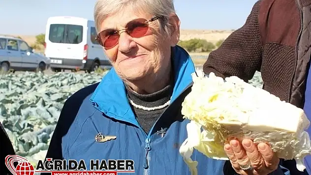 Canan Karatay: ''Lahana Dünyanın En Sağlıklı Yiyeceği''