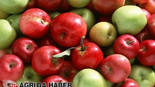 Günde 1 Elma Tüketimi Tam Bir  Kanser Önleyici!