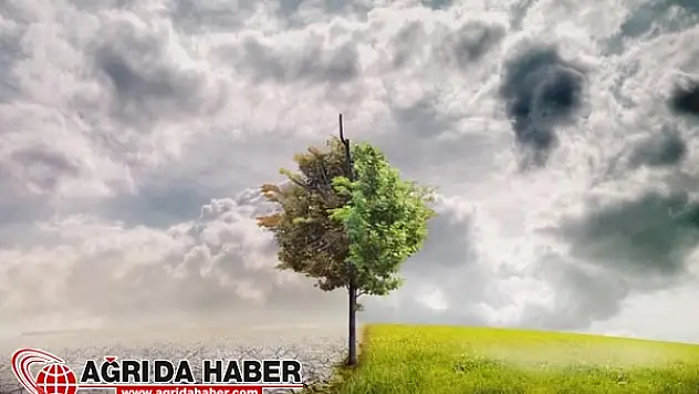 Yapılan İklim Değişikliği İncelemesinden Korkutan Haber