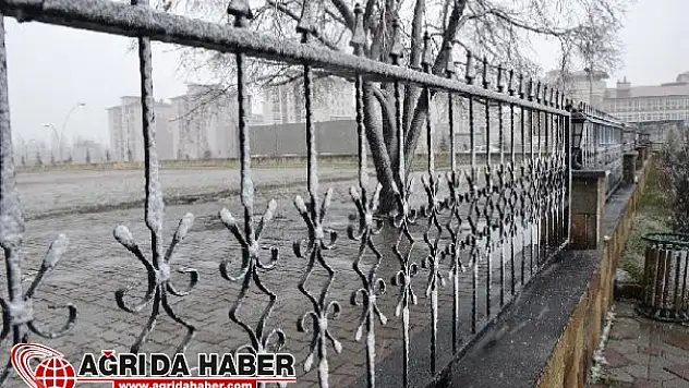Ağrı'da Yılın İlk Karı Yağdı