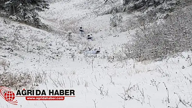 Ağrı ve Kars'ta Kar Altında Terör Operasyonu