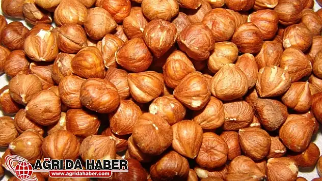Çiğ Fındığın İnanılmaz 10 Faydası!