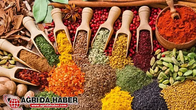 Kışın Tüketilecek Bağışıklık Güçlendirici Besinler