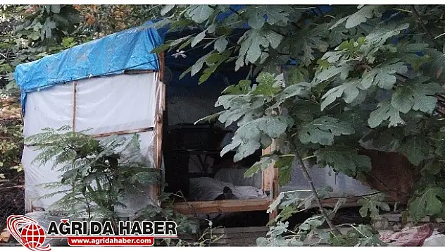 Ölüm Geliyorum Demez ! Yaşlı kadın ölü bulundu