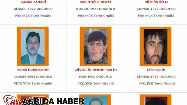 PKK Muş-Kars Bölge Sorumlusu Öldürüldü!