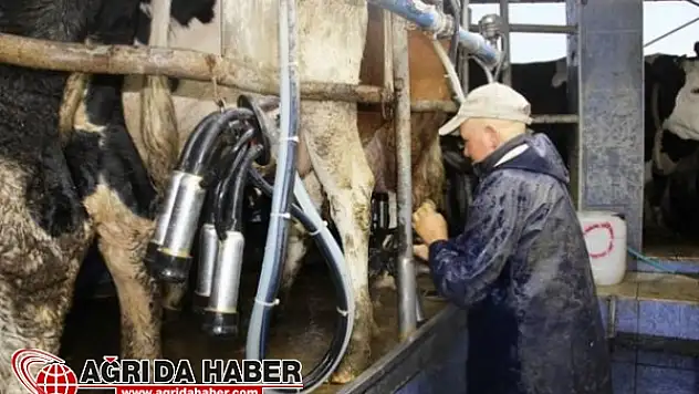 Sütün Ucuzlaması İçin 'Aracı Sayısı Azalsın' Dediler