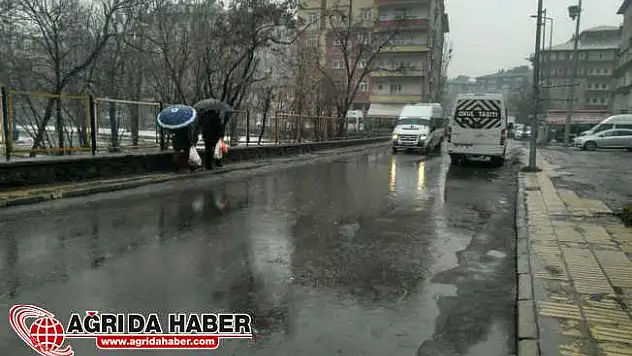 Ağrı'da Aralık Ayında Yağmur Yağdı