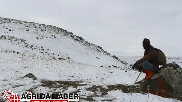 Dondurucu Soğuklarda Hayvanlarını Otlatıyor