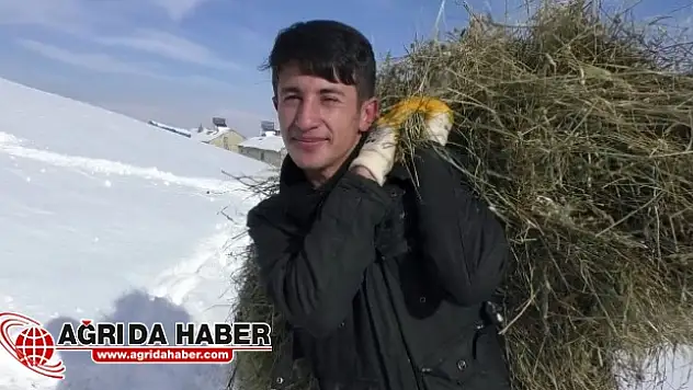 Ağrı'da Kışla Birlikte Gelen İlginç Ot Taşıma Yöntemi