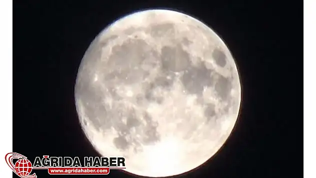 Komplo Teorisyeni : Nasa Yalan Söylüyor !